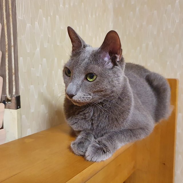 리뷰 프로필 이미지