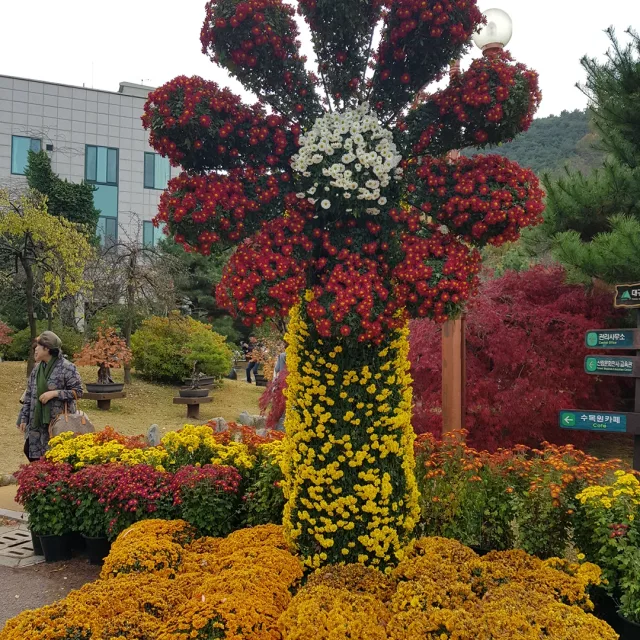 햇빛과소금