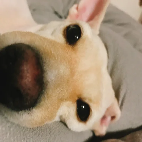 보리보리