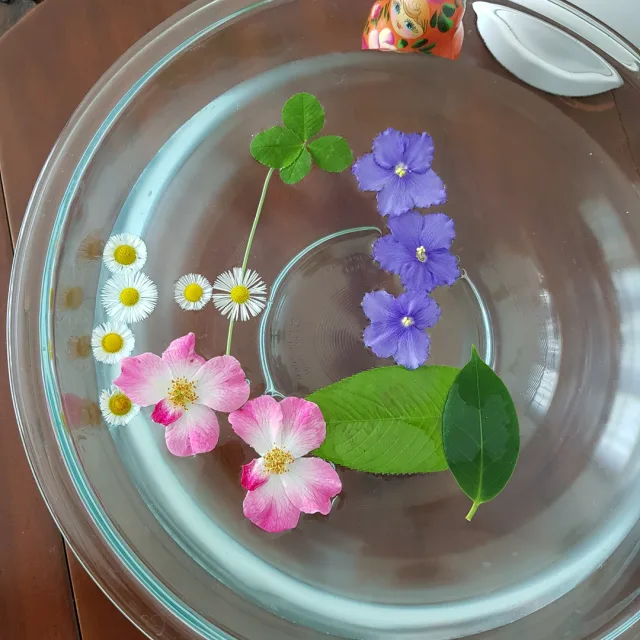 봄바람