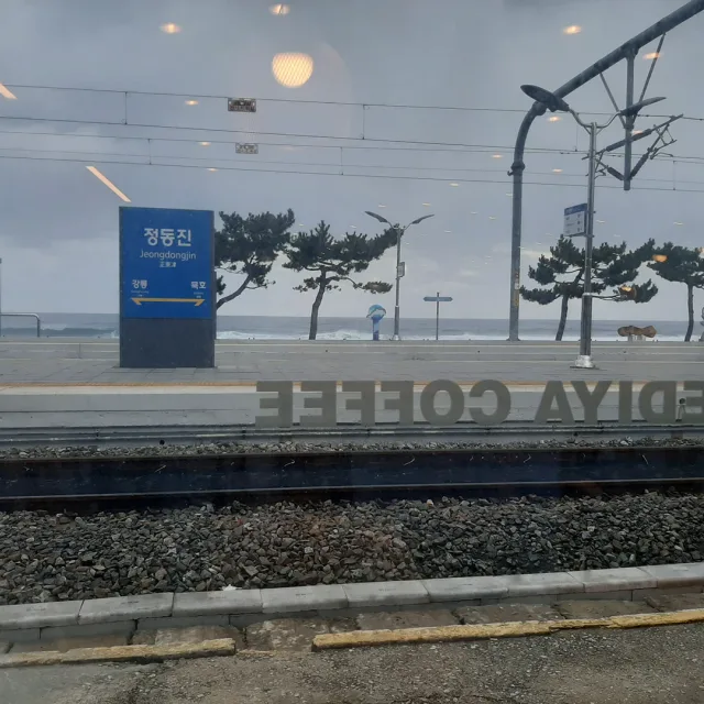 뚝배기워리어