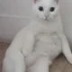 현미와찹쌀