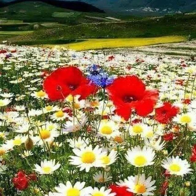 어벤저스