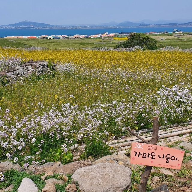 바세티