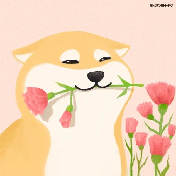 만세