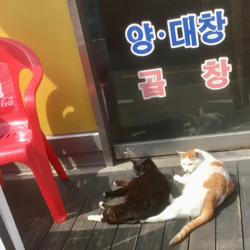 만둥이