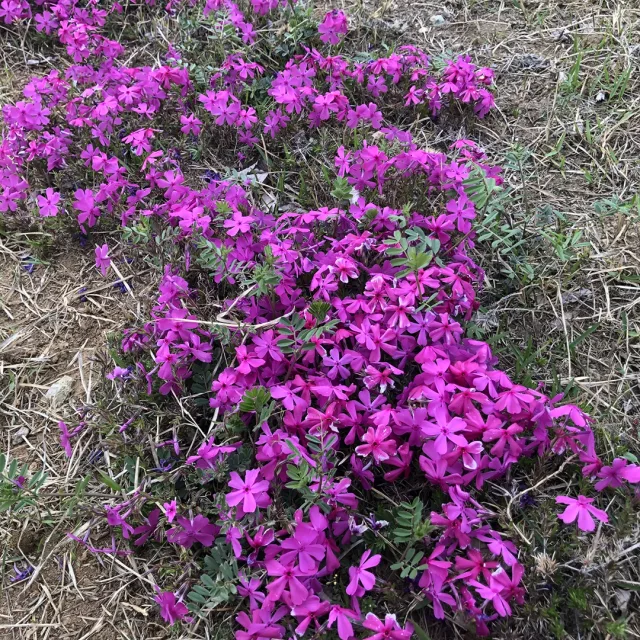 백운산