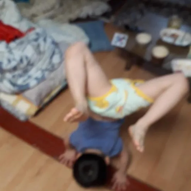 윤트레이너