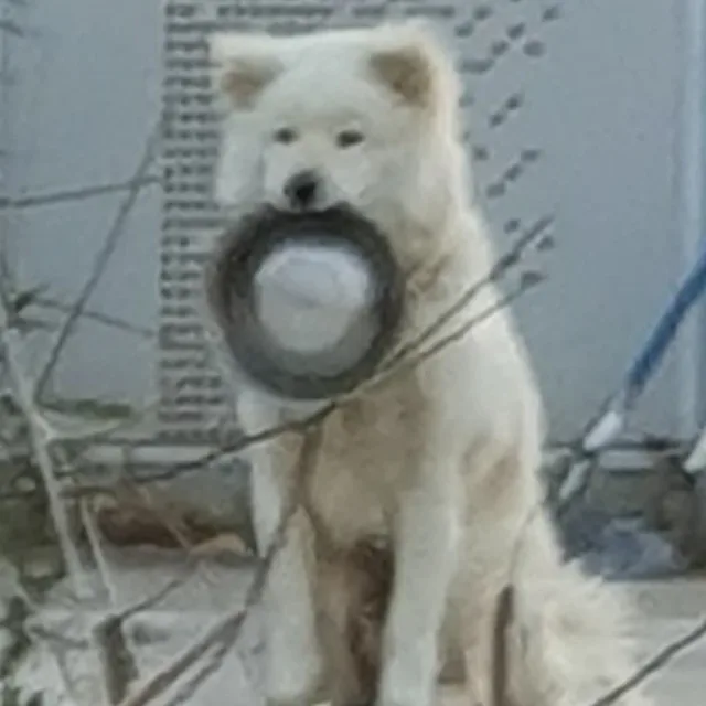 천무스파게티