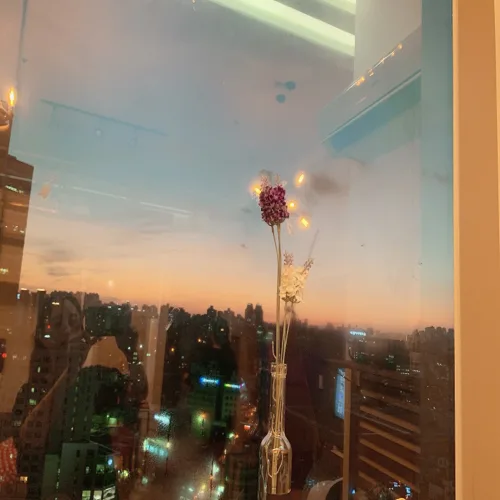 개굴