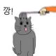 깡냥이