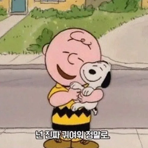 순돌이