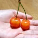 루비