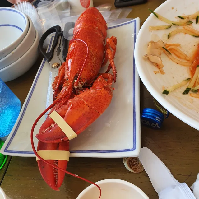 가재