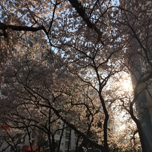 리뷰 프로필 이미지