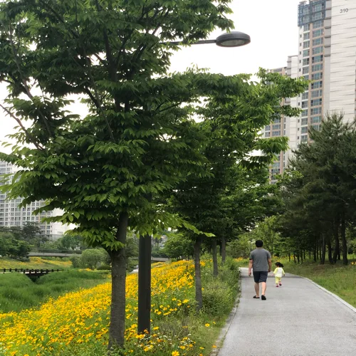 러블리맘