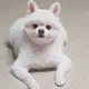 리미