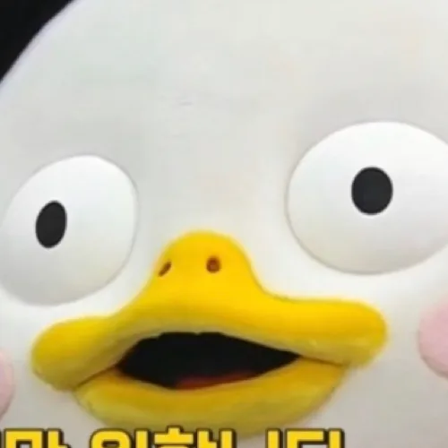 슈수스