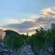 당근당근