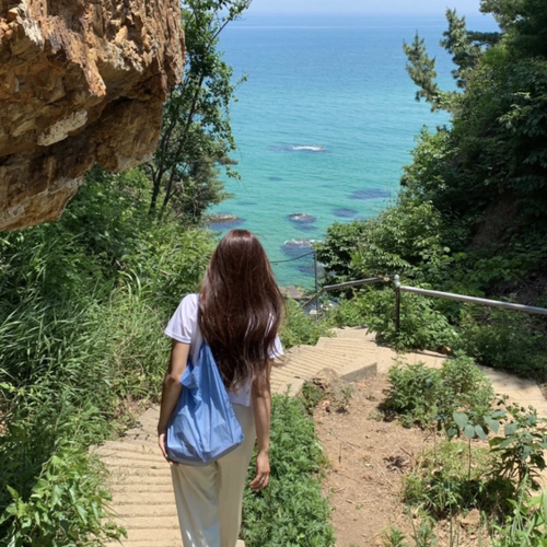 포포로