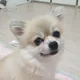 어오태자뤄