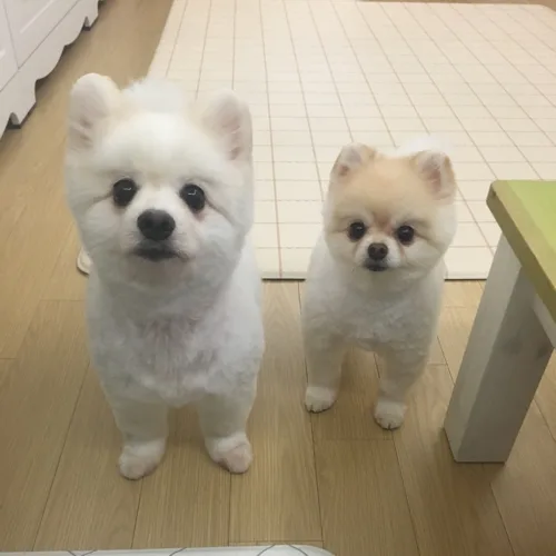 아로엄마