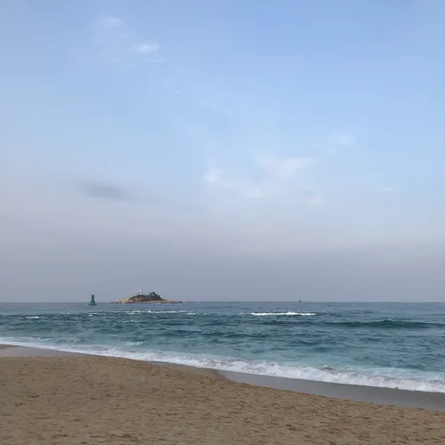 콩알