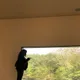 빵이