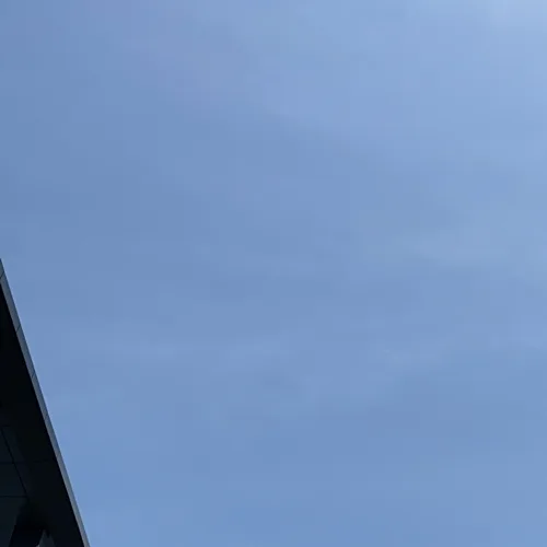 봄뚱