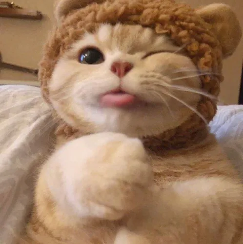 넴넴