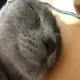 뀨밥
