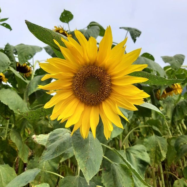 리뷰 프로필 이미지