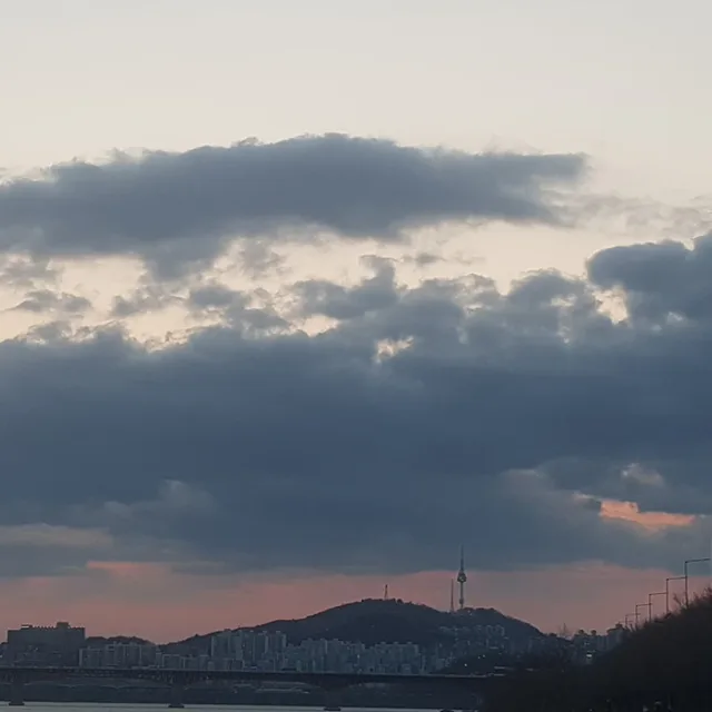 날고시픈