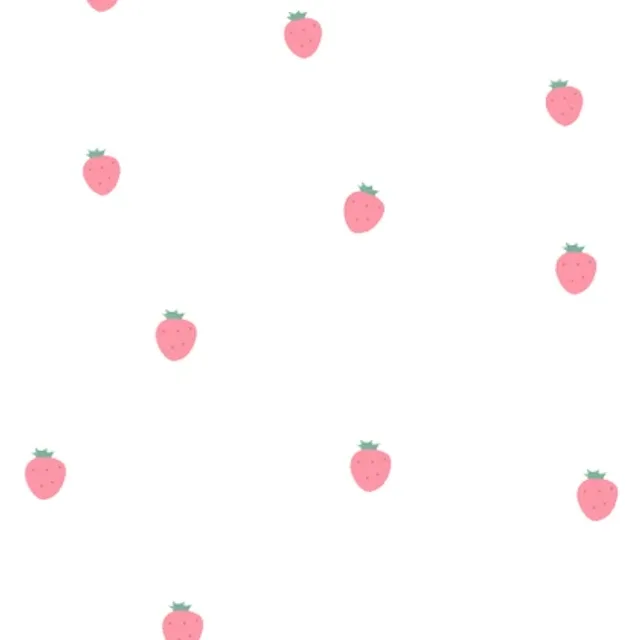 코스모스