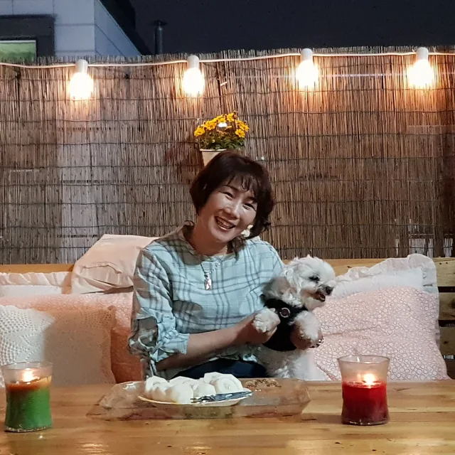 채송화