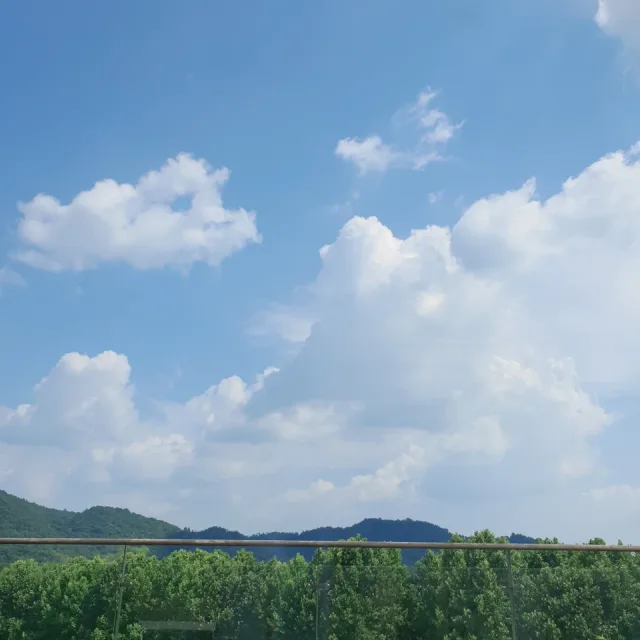 퓨트라