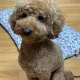 아메리카노73
