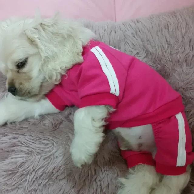 민식짱