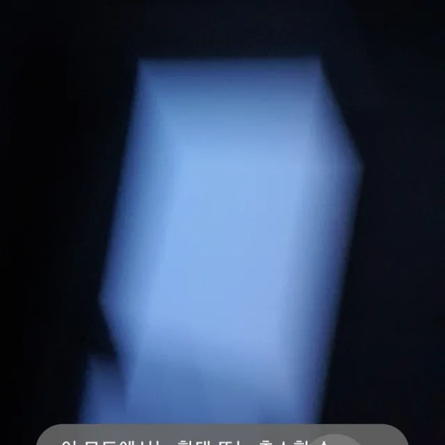켈리