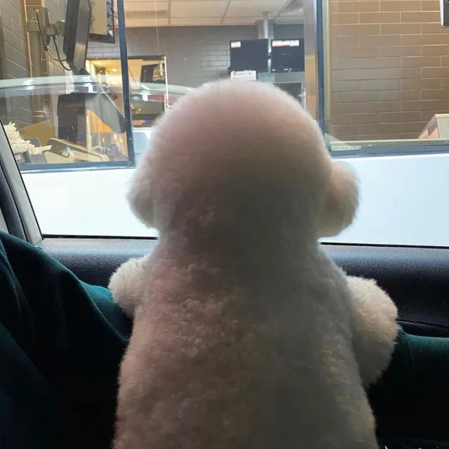 profile