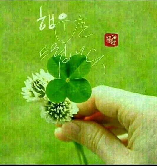 보보