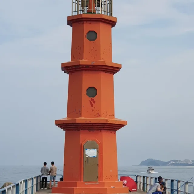호야