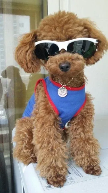 애나맘