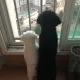 오복쿠키