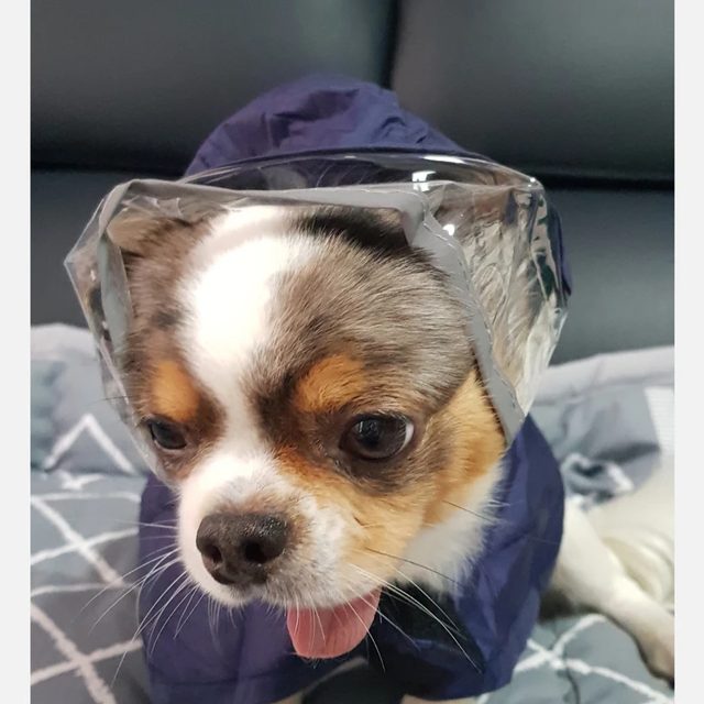 샤이닝데이