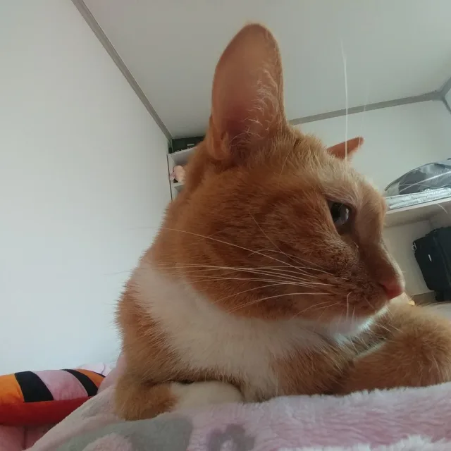 달이맘