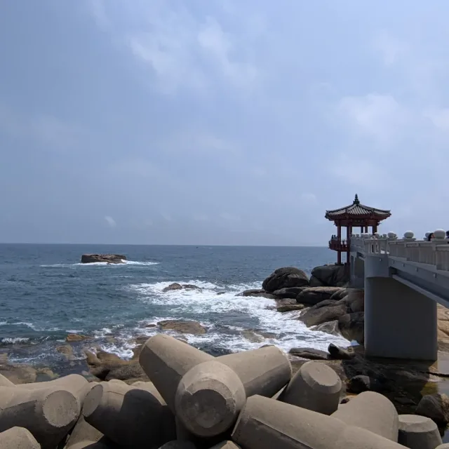 쌍용당근