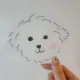 토리입니다