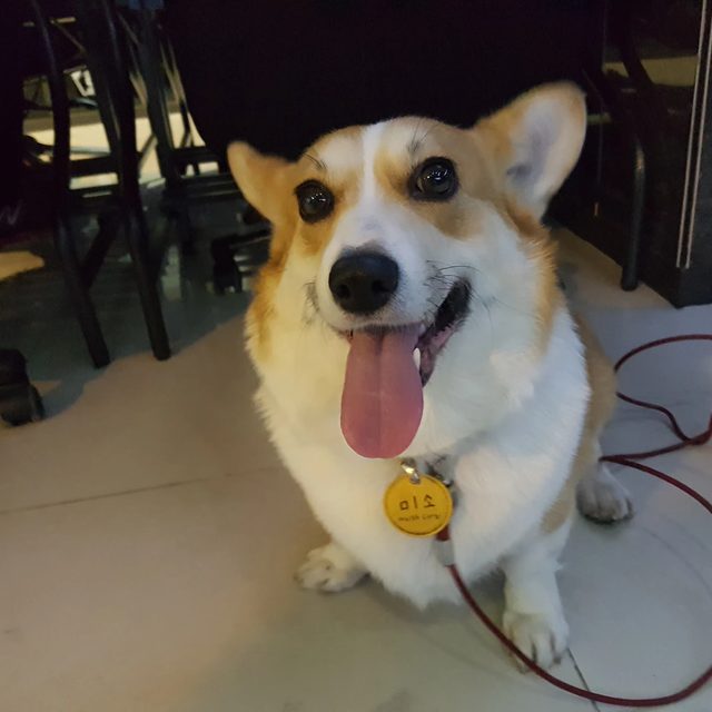 꽃보다붉은