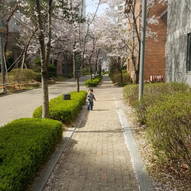 공사다망